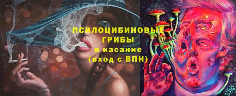 Псилоцибиновые грибы Psilocybe  как найти   ссылка на мегу маркетплейс  Медынь 